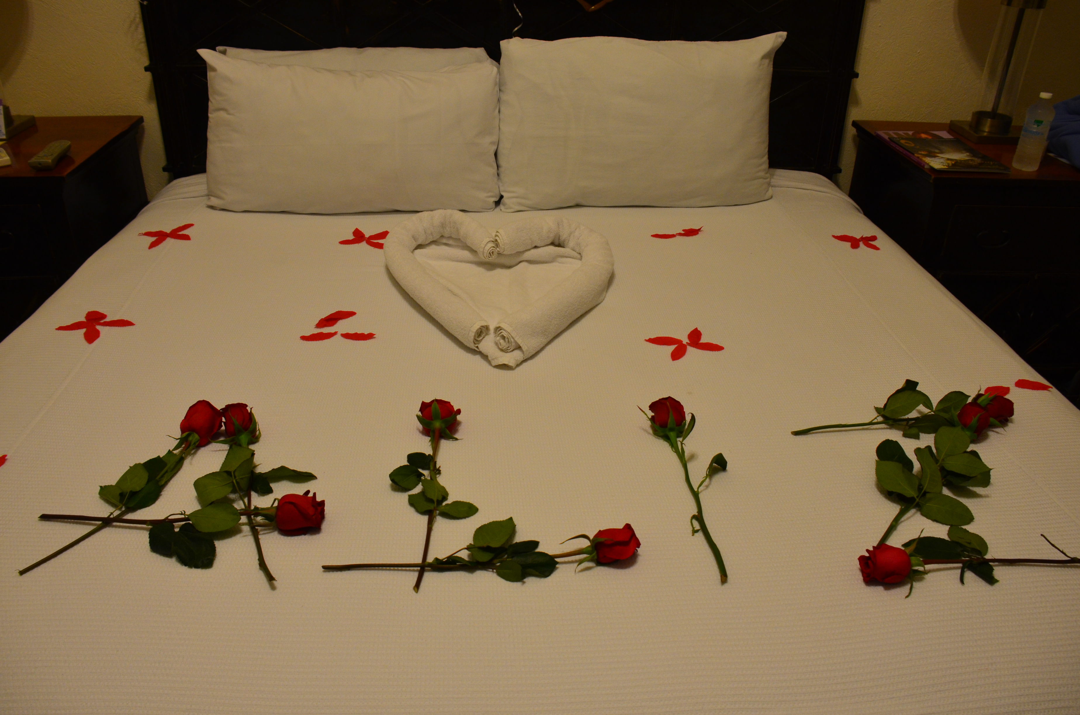 roses on bed